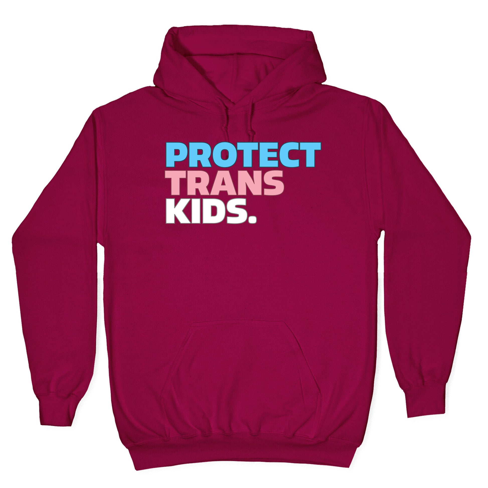 Protect Trans Kids Hoodie