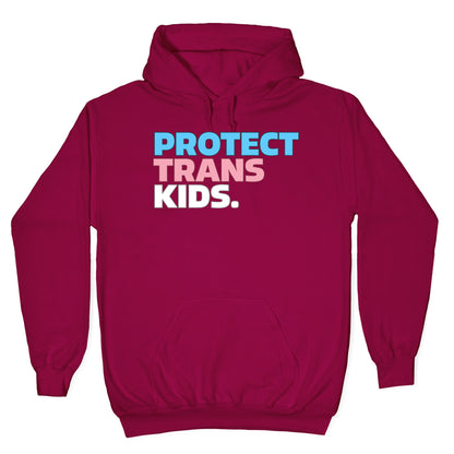 Protect Trans Kids Hoodie