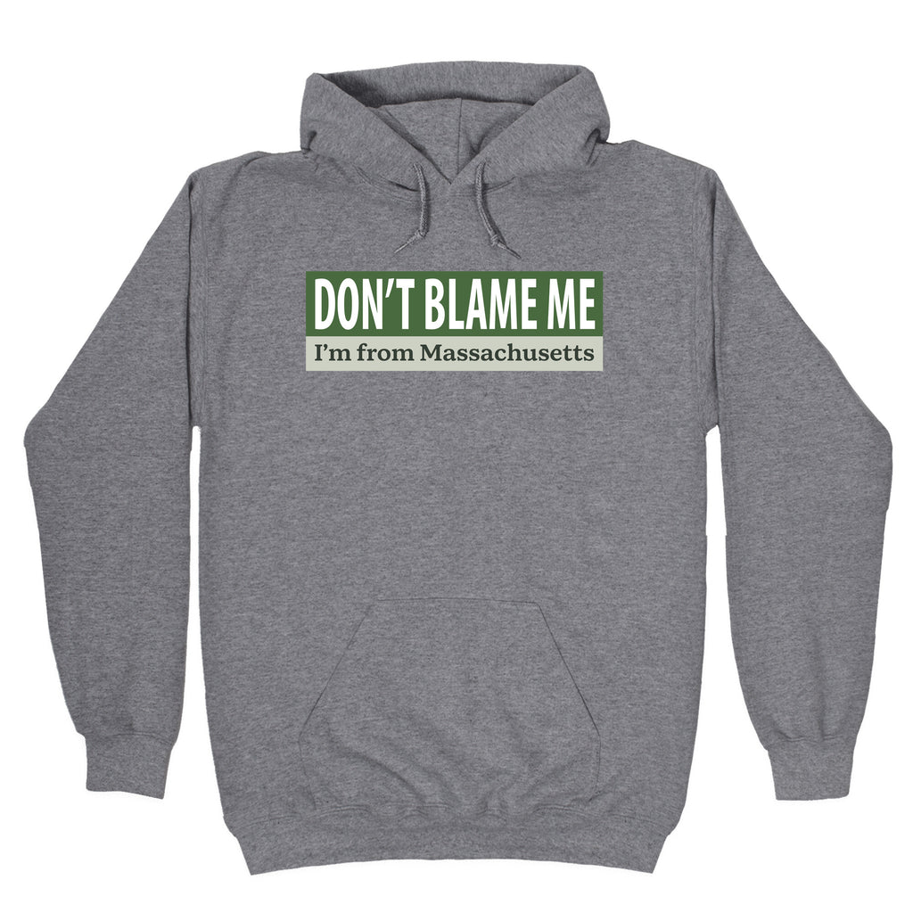 dont blame me im from massachusetts Hoodie