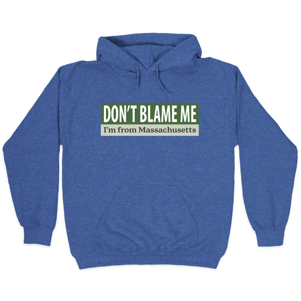 dont blame me im from massachusetts Hoodie