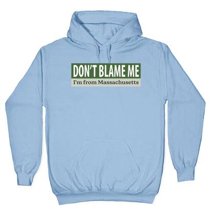 dont blame me im from massachusetts Hoodie