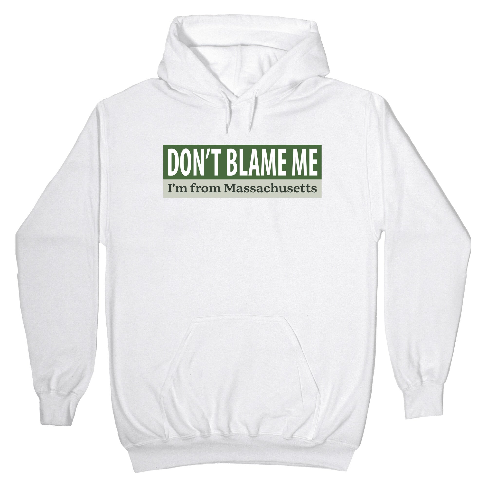 dont blame me im from massachusetts Hoodie