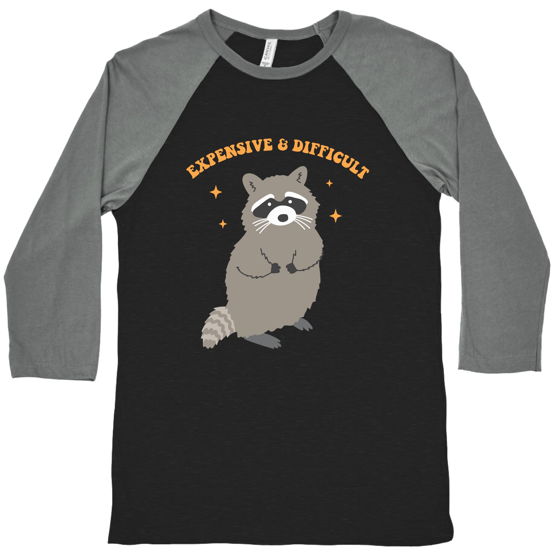 Expensive and Difficult Baseball Tee
