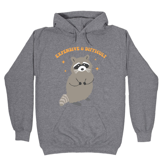 Expensive and Difficult Hoodie