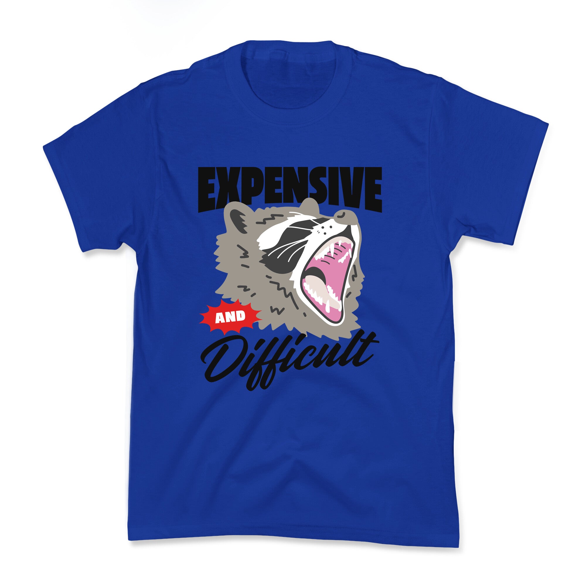 Expensive and Difficult Raccoon Kids Tee
