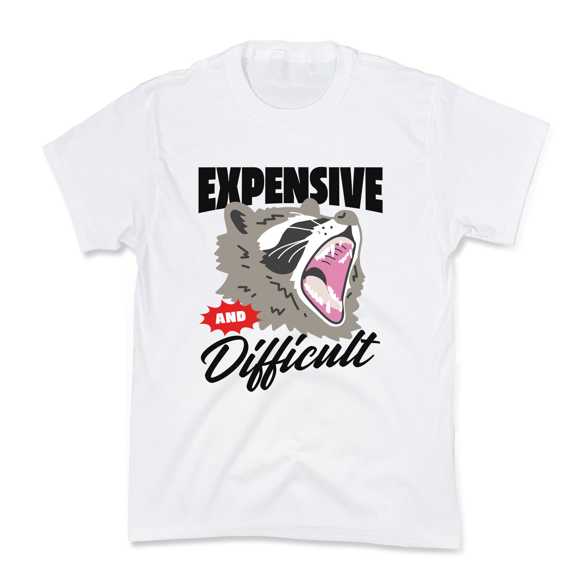 Expensive and Difficult Raccoon Kids Tee
