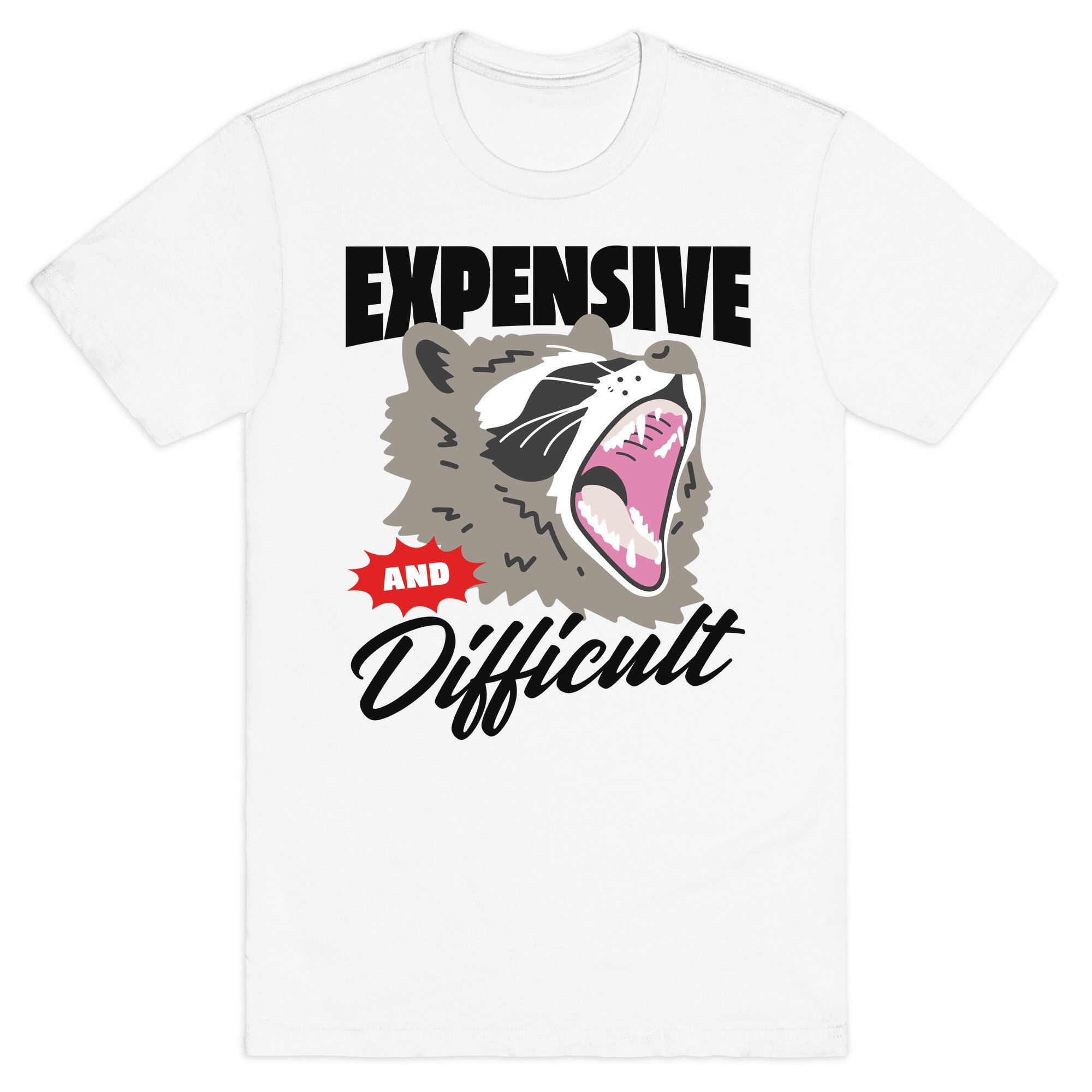 Expensive and Difficult Raccoon T-Shirt