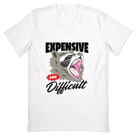 Expensive and Difficult Raccoon V-Neck