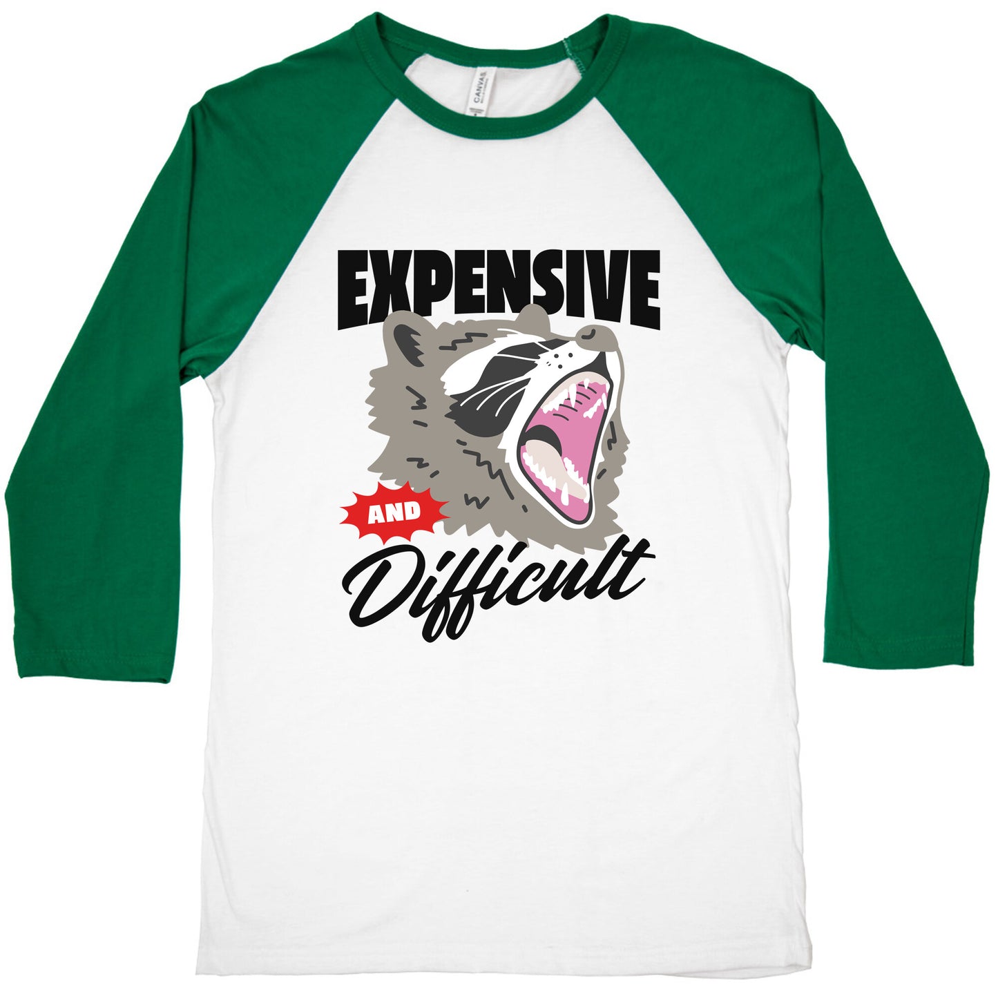 Expensive and Difficult Raccoon Baseball Tee