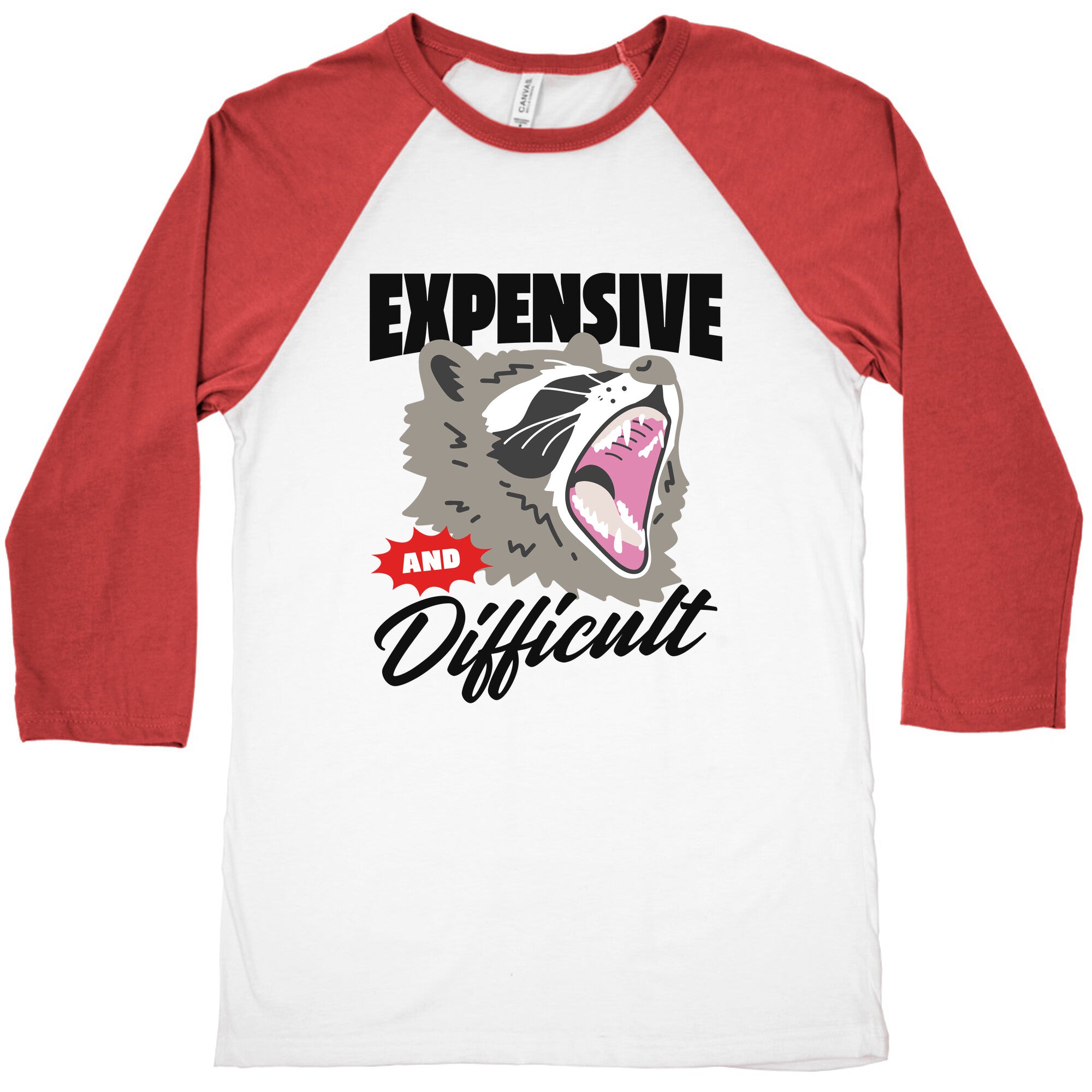 Expensive and Difficult Raccoon Baseball Tee