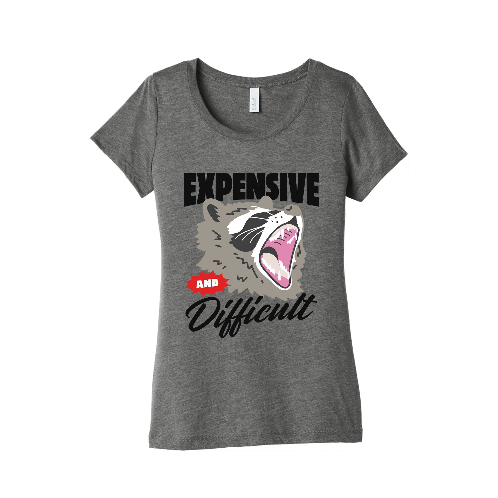 Expensive and Difficult Raccoon Womens Triblend Tee