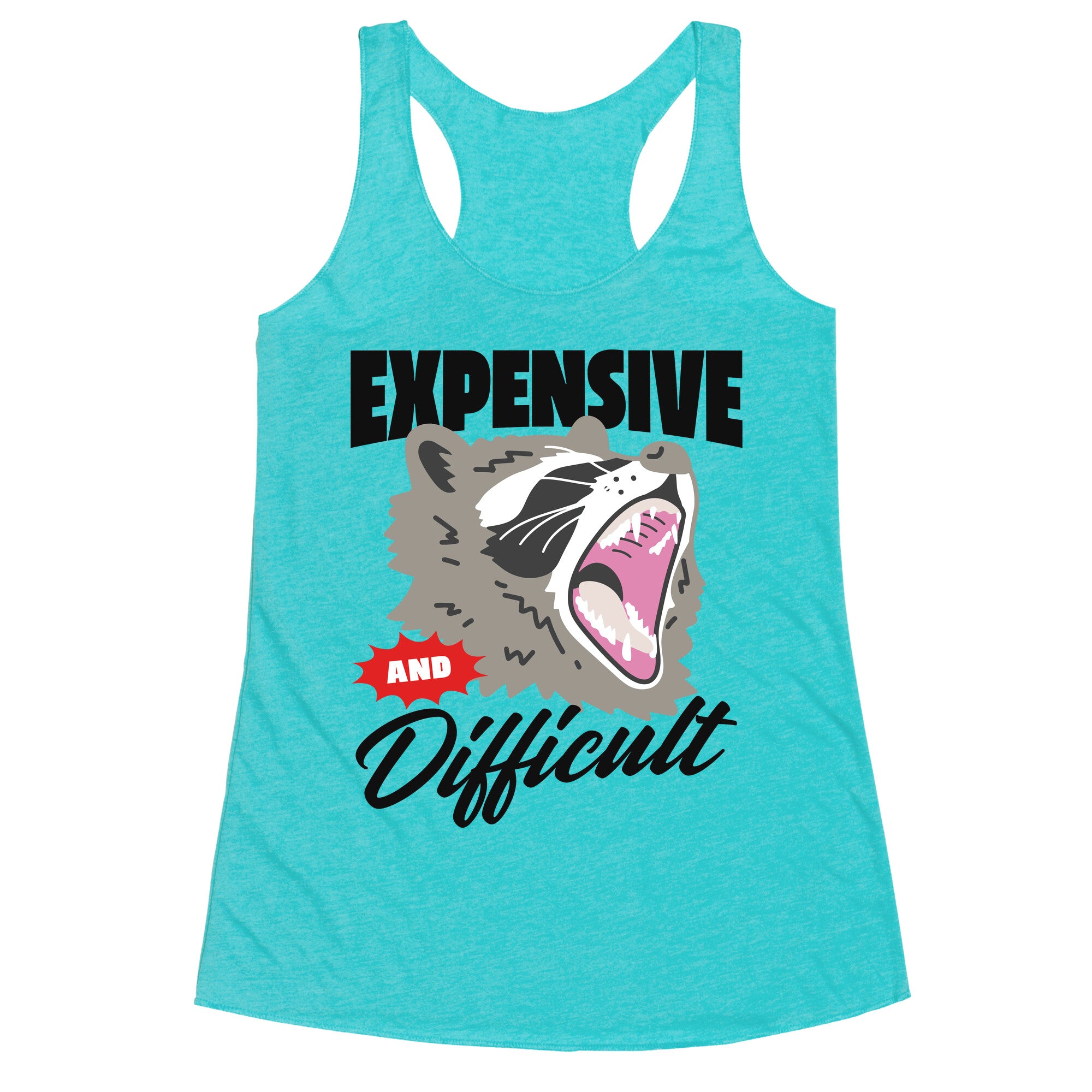 Expensive and Difficult Raccoon Racerback Tank