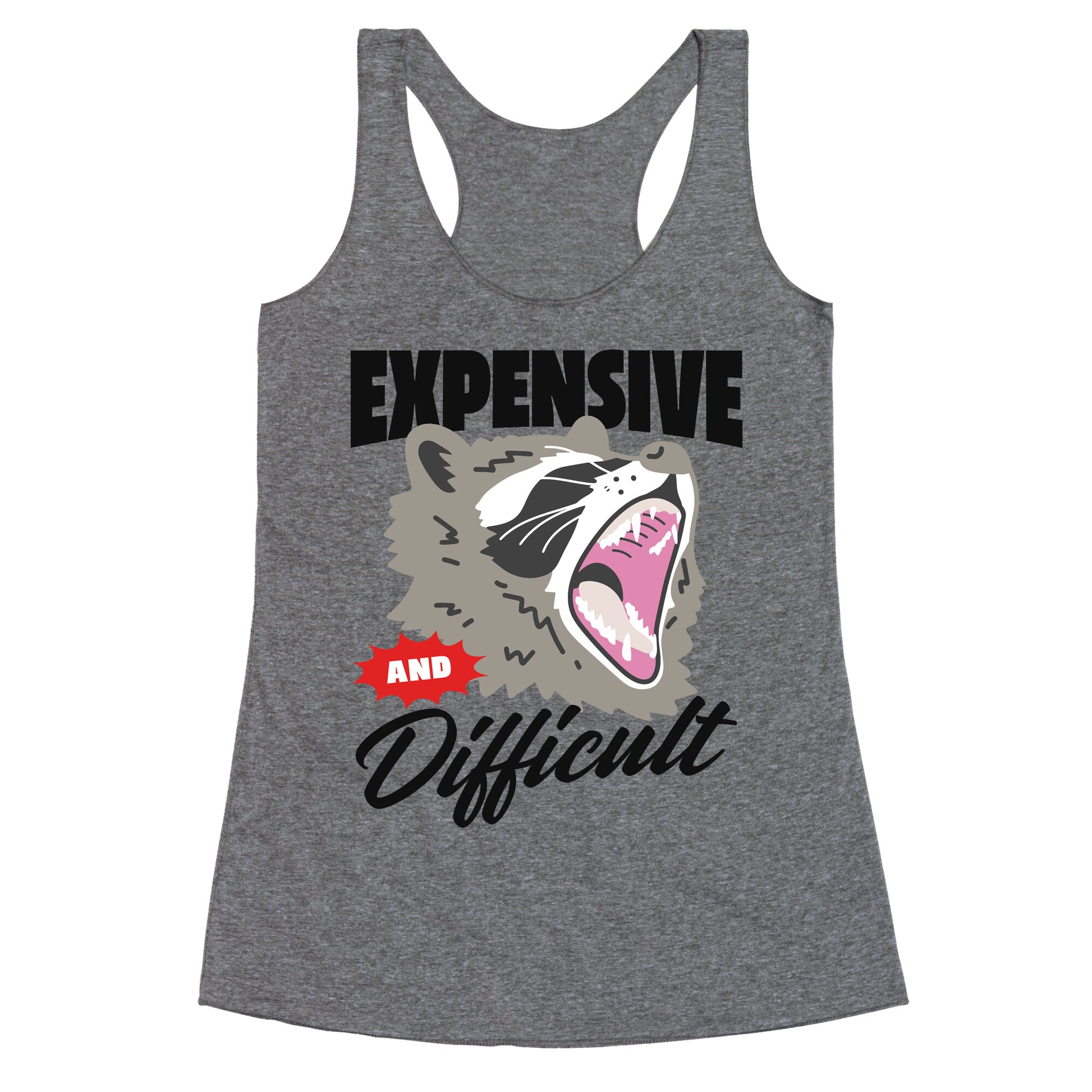 Expensive and Difficult Raccoon Racerback Tank