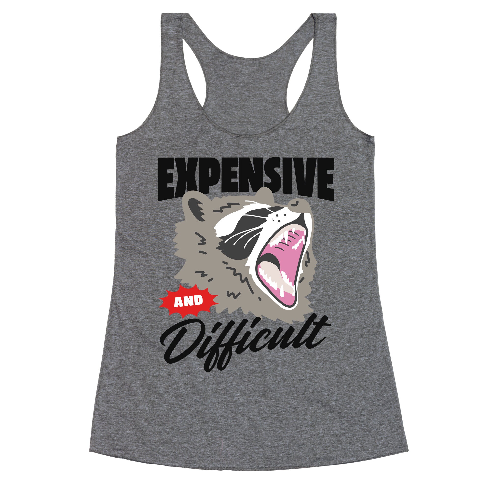 Expensive and Difficult Raccoon Racerback Tank