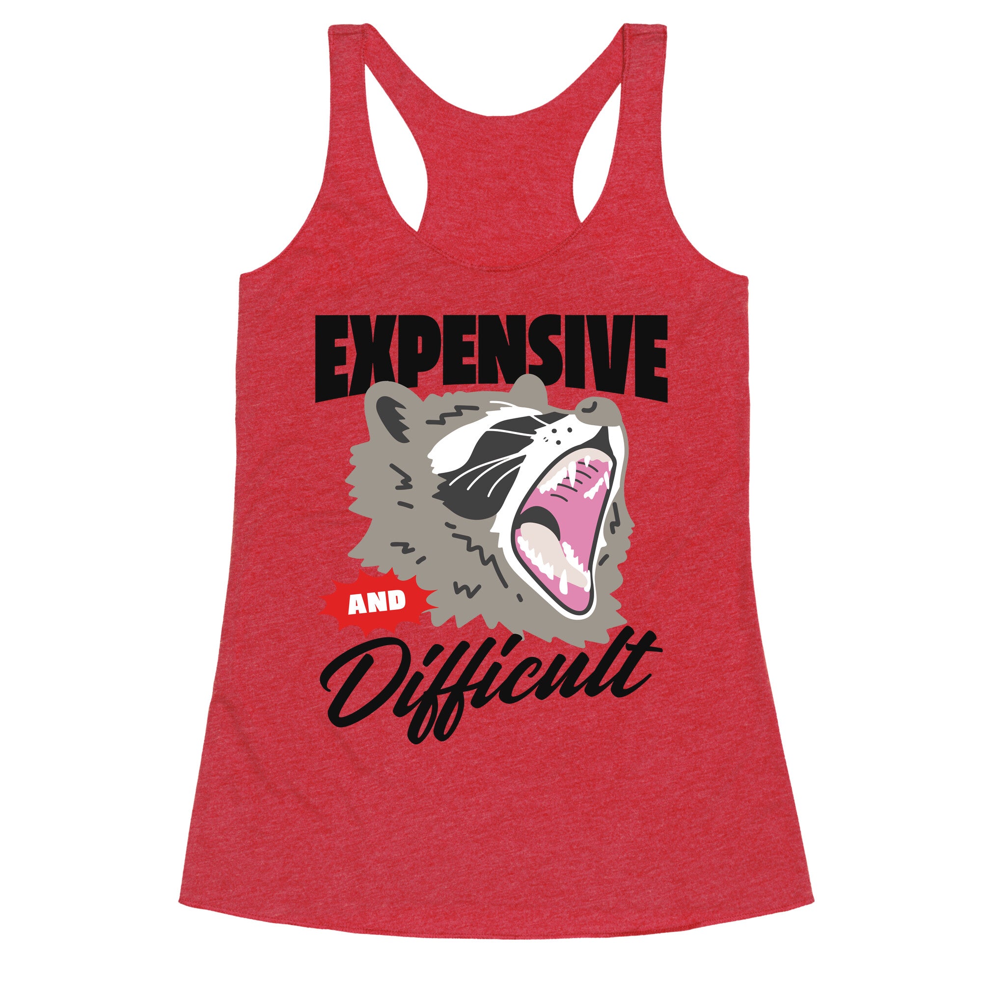 Expensive and Difficult Raccoon Racerback Tank