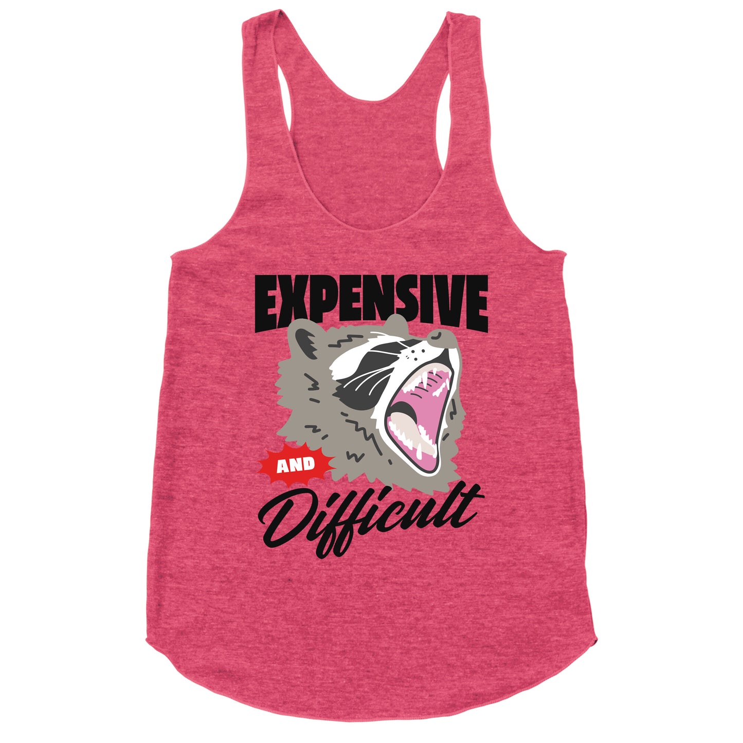 Expensive and Difficult Raccoon Racerback Tank