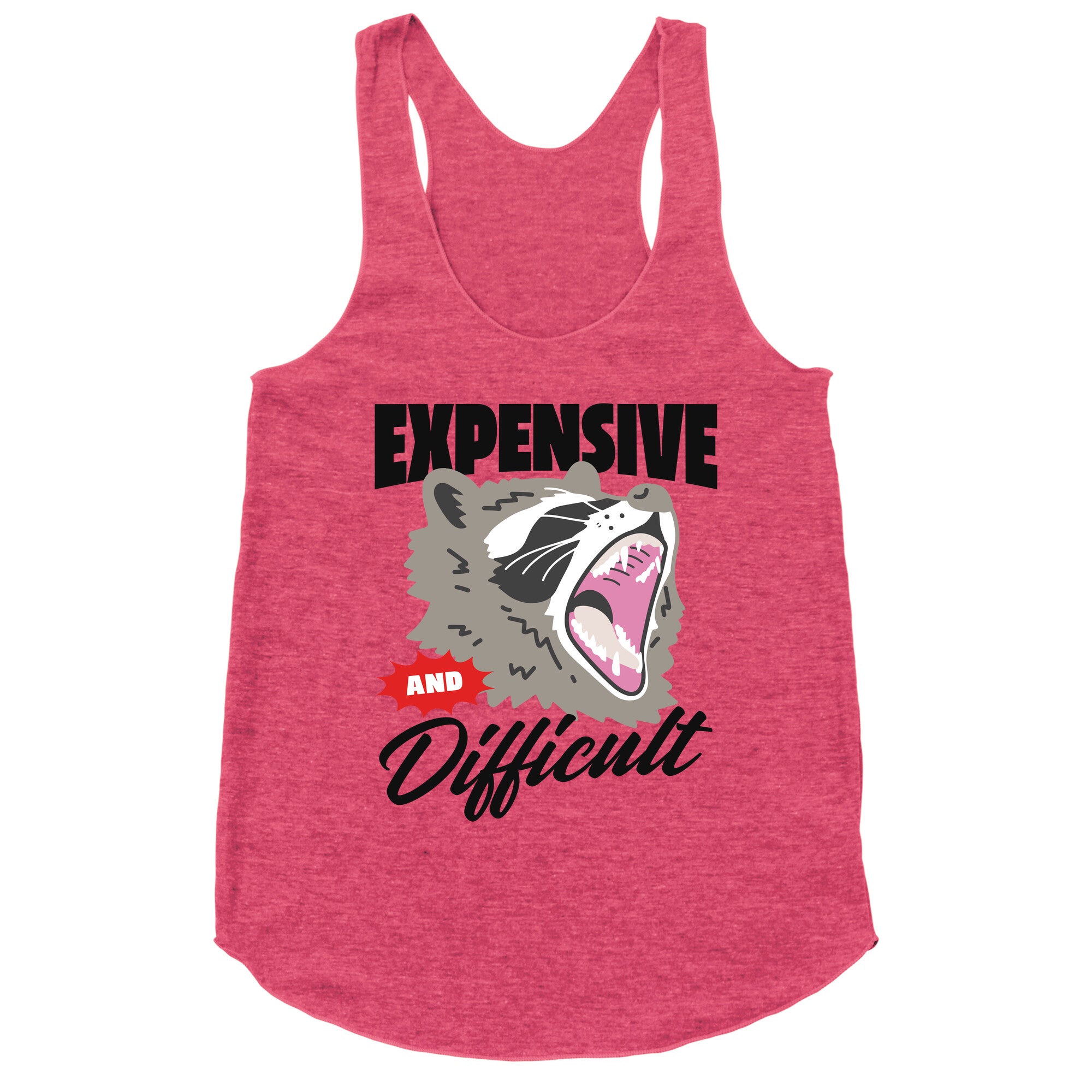 Expensive and Difficult Raccoon Racerback Tank