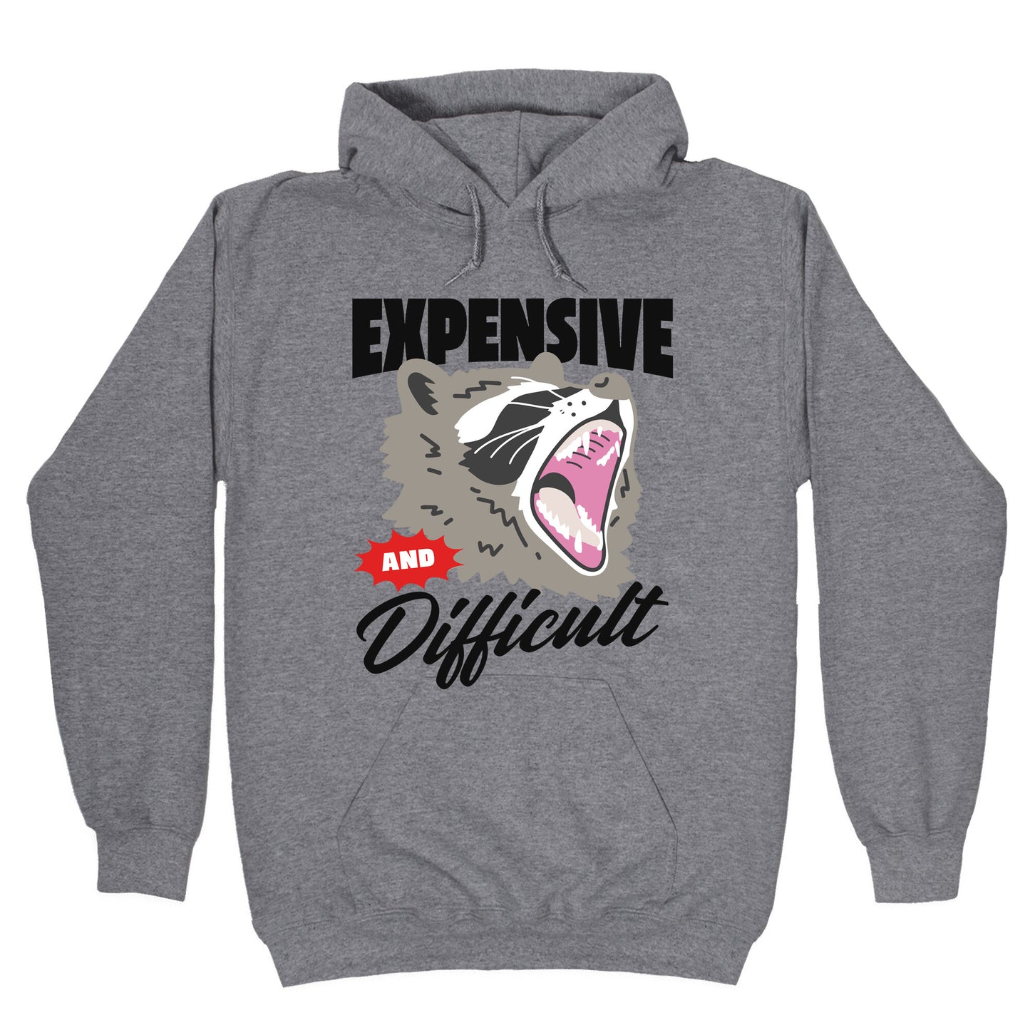 Expensive and Difficult Raccoon Hoodie