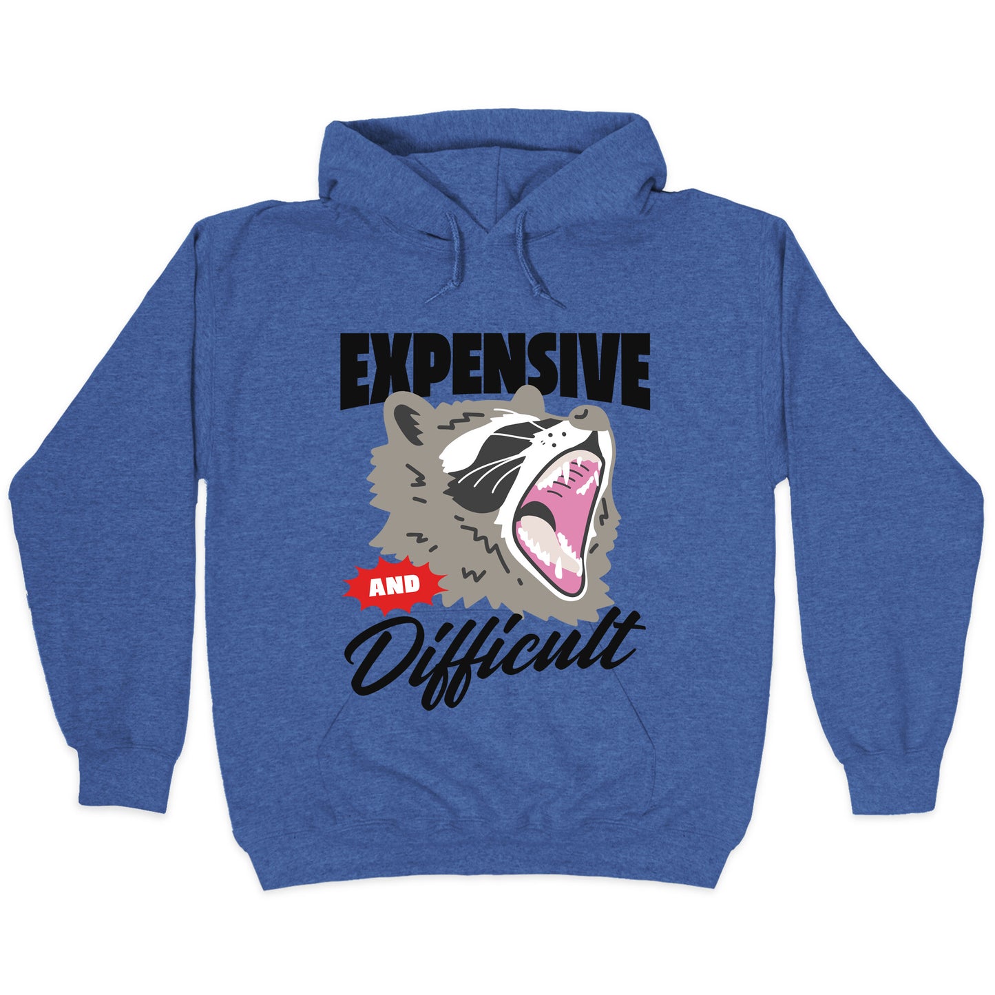 Expensive and Difficult Raccoon Hoodie
