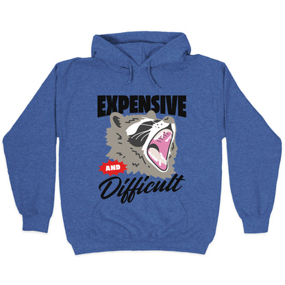 Expensive and Difficult Raccoon Hoodie