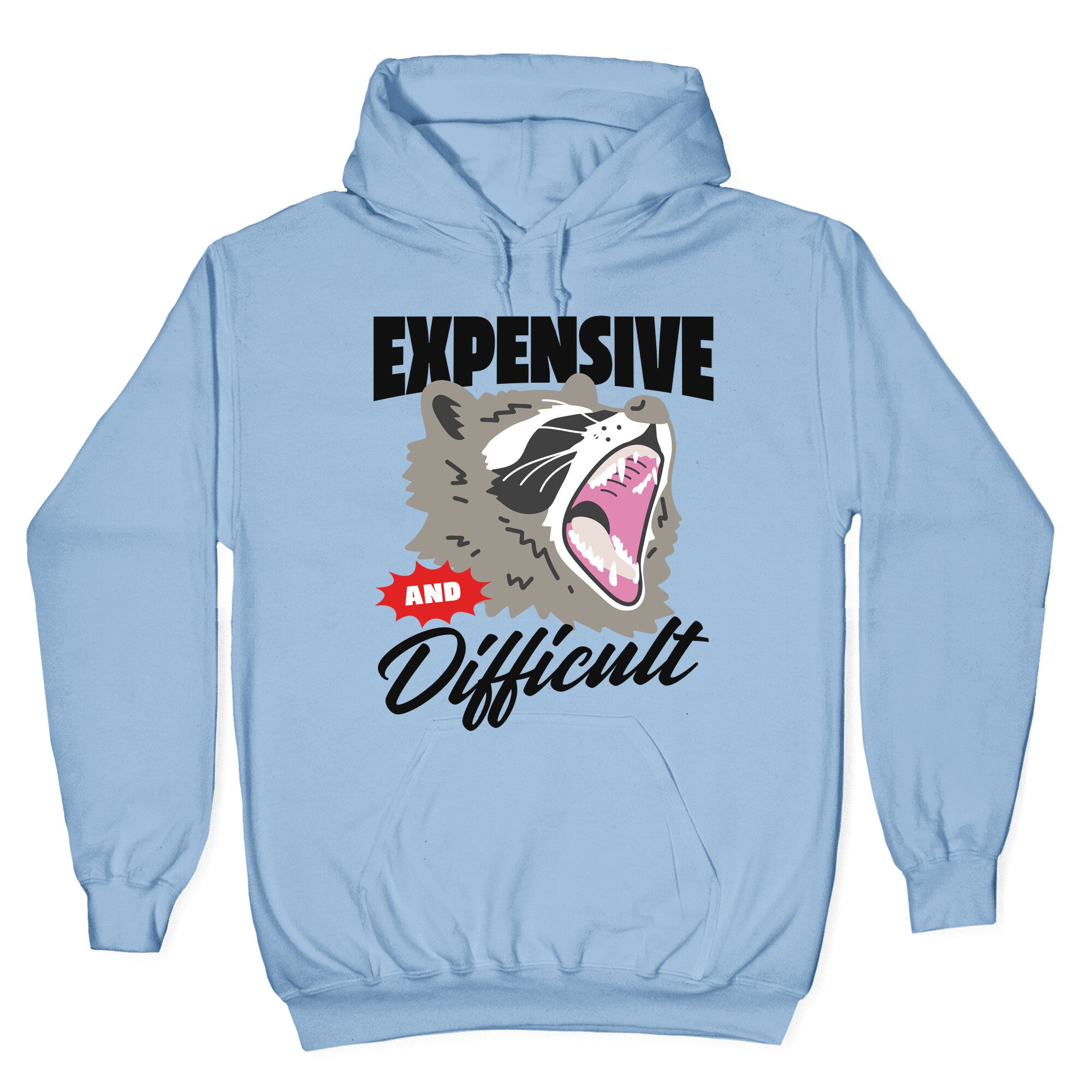 Expensive and Difficult Raccoon Hoodie