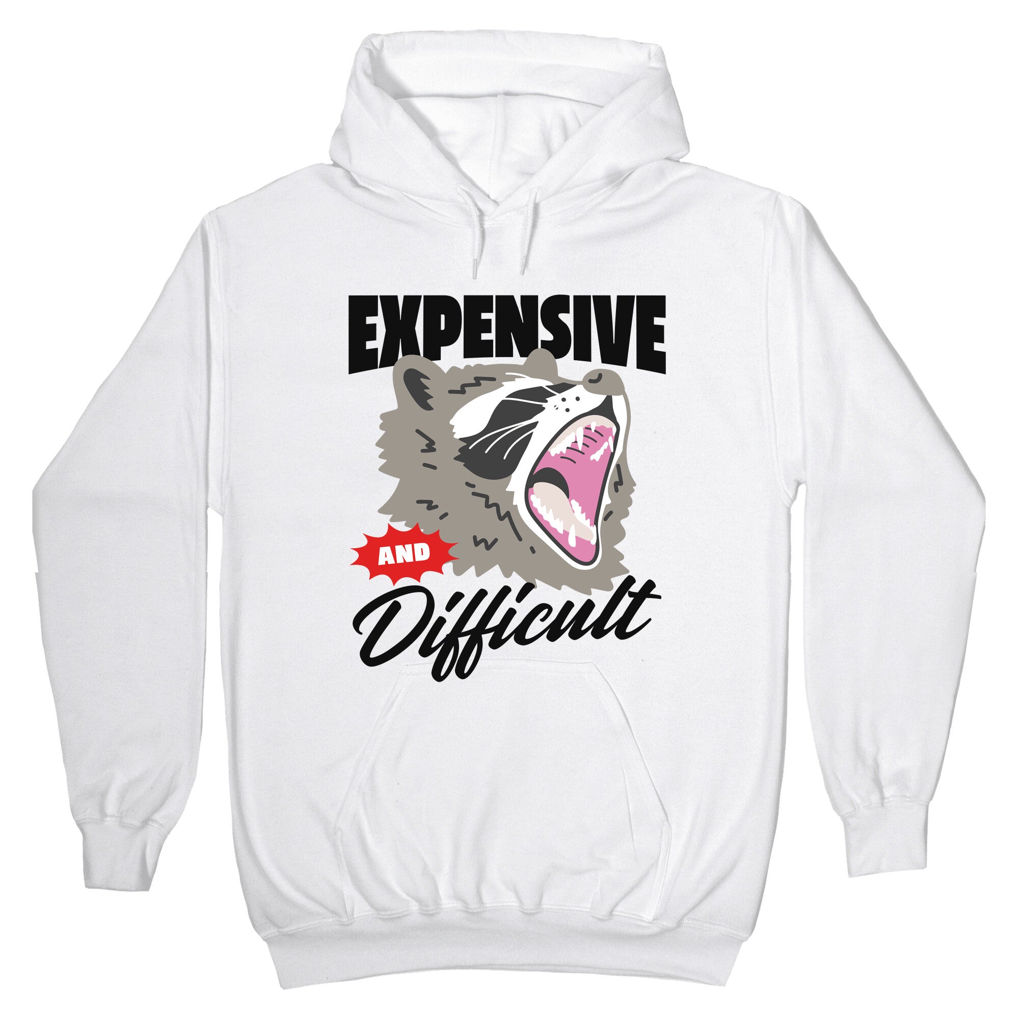 Expensive and Difficult Raccoon Hoodie