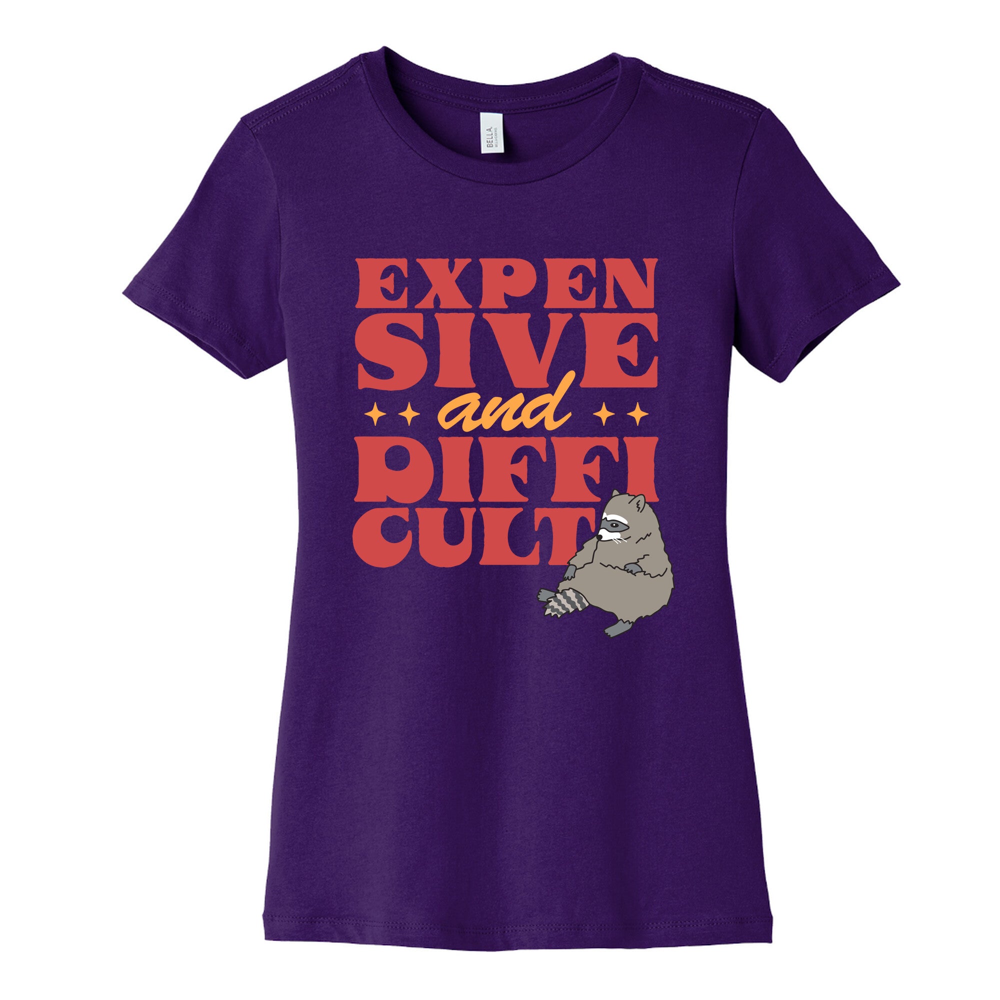 Raccoon Expensive and Difficult Womens Cotton Tee