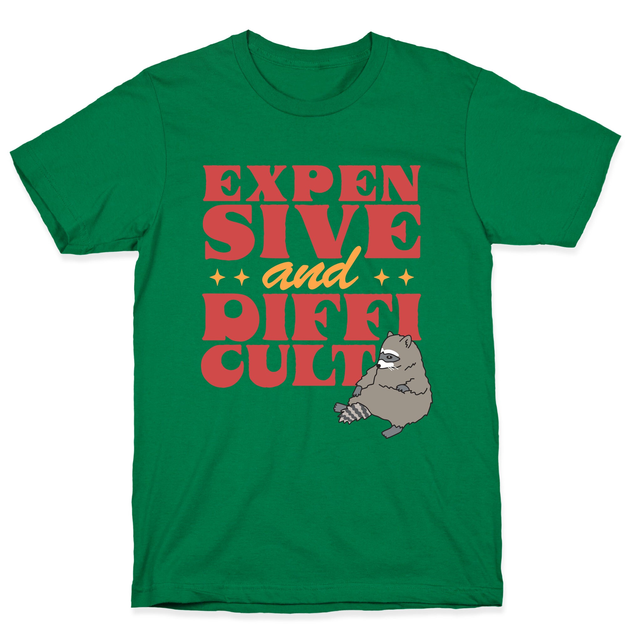 Raccoon Expensive and Difficult T-Shirt