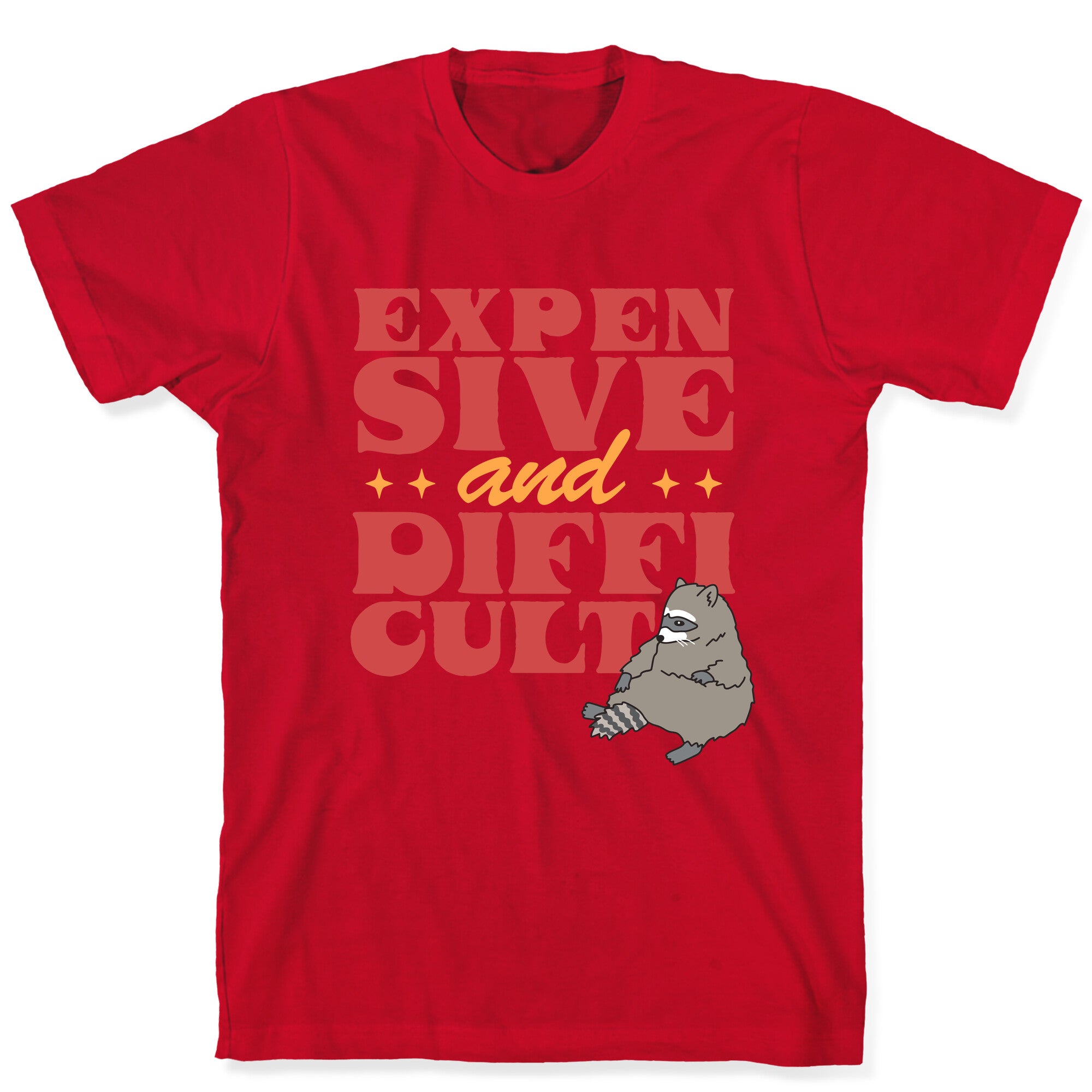 Raccoon Expensive and Difficult T-Shirt