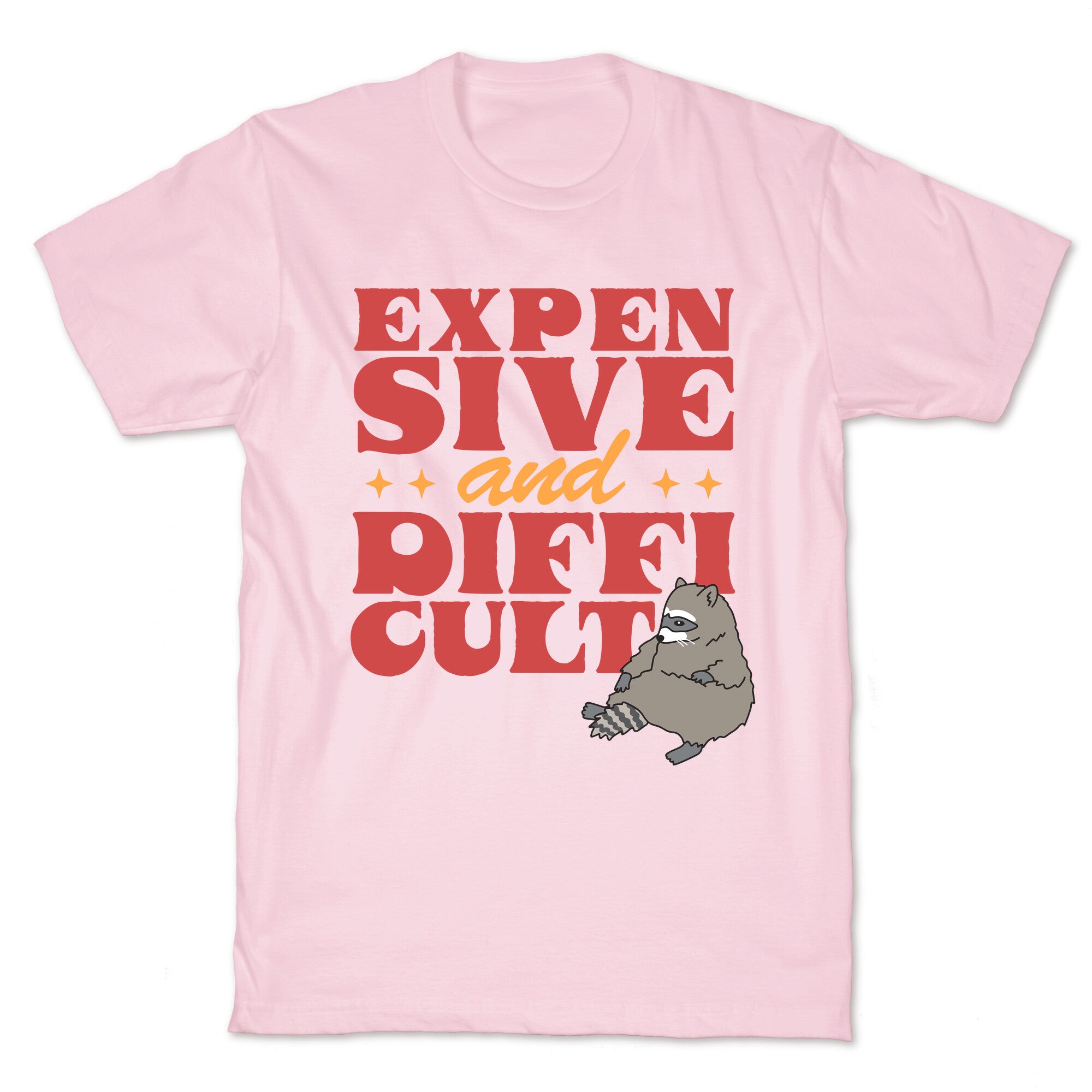 Raccoon Expensive and Difficult T-Shirt