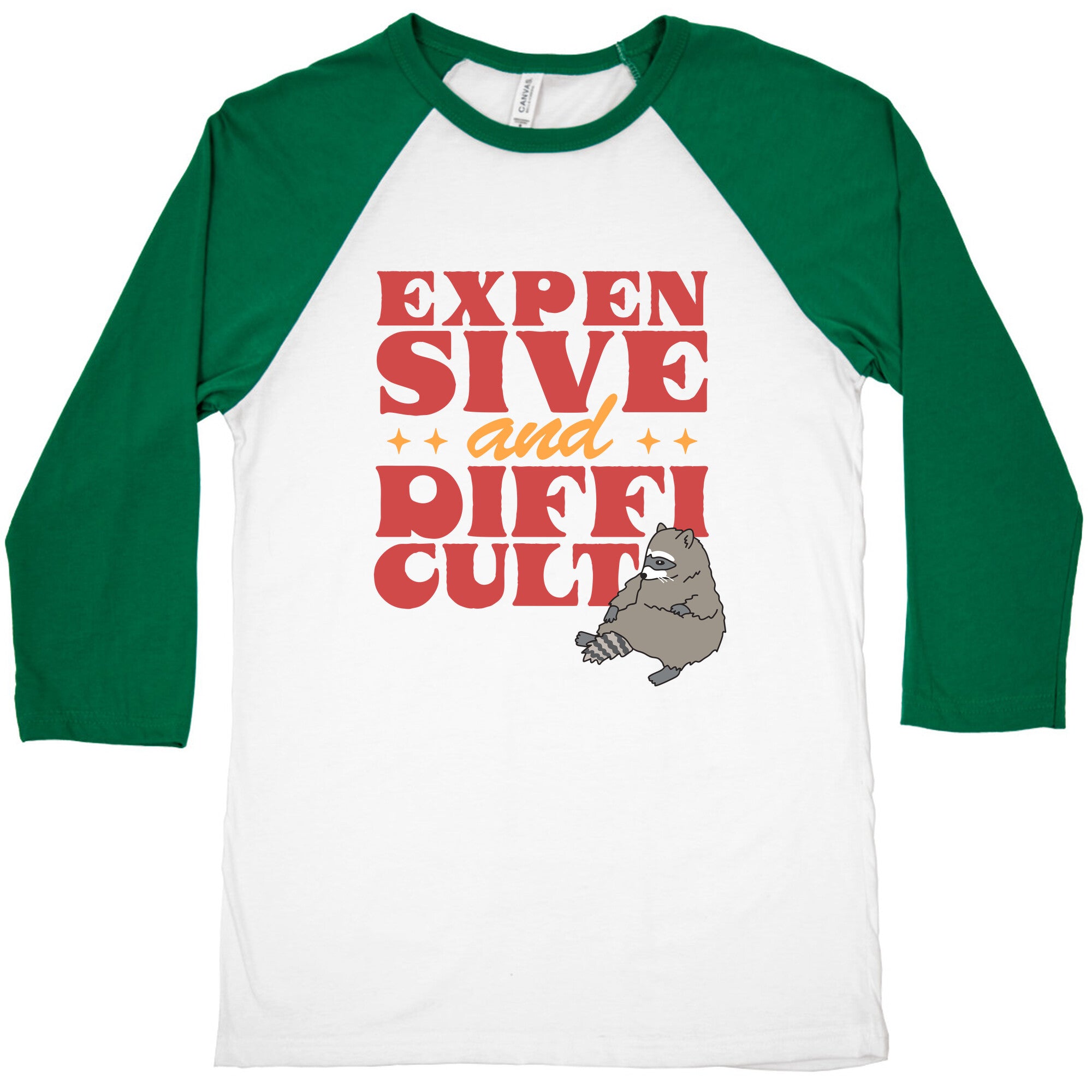 Raccoon Expensive and Difficult Baseball Tee