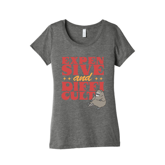 Raccoon Expensive and Difficult Womens Triblend Tee