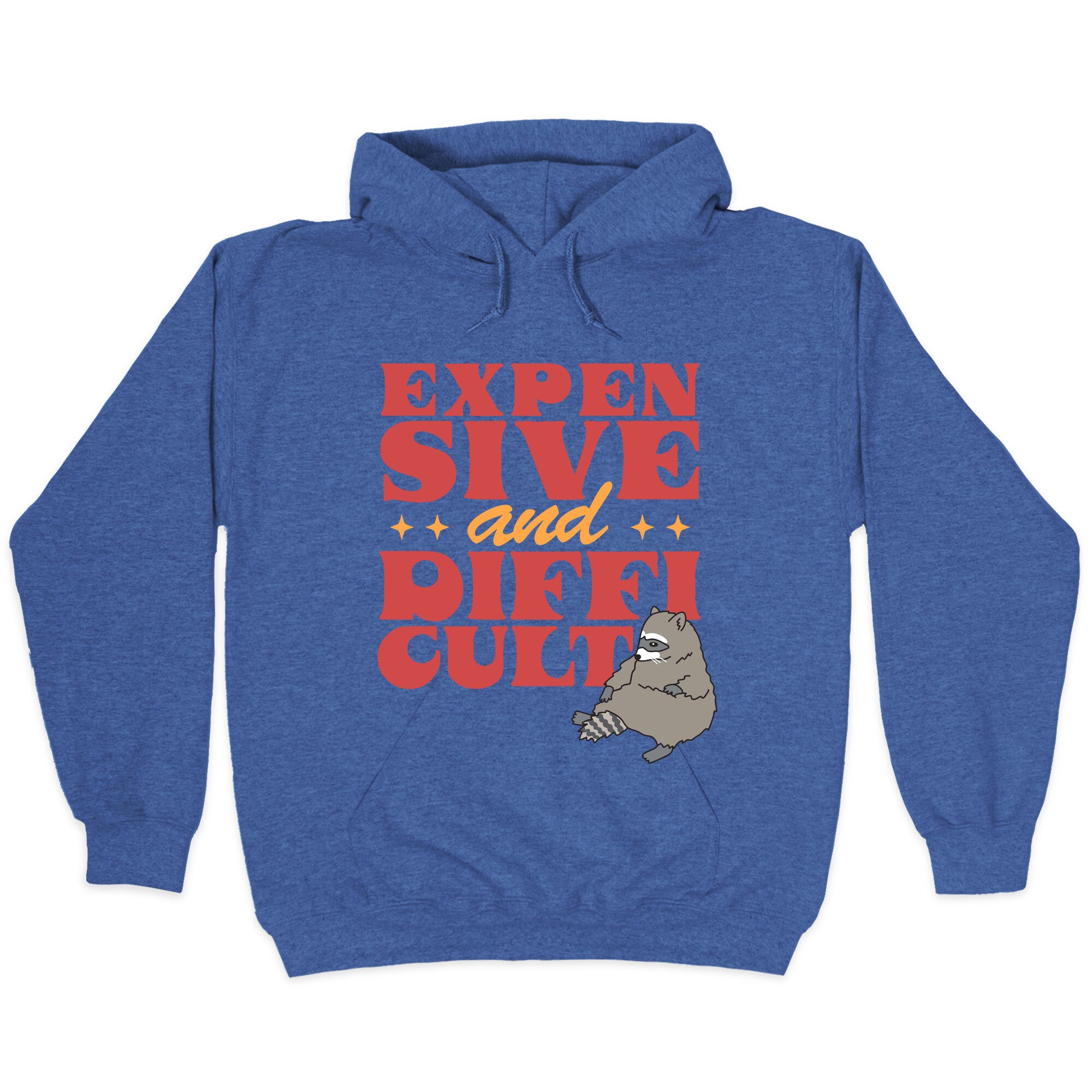 Raccoon Expensive and Difficult Hoodie