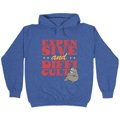 Raccoon Expensive and Difficult Hoodie