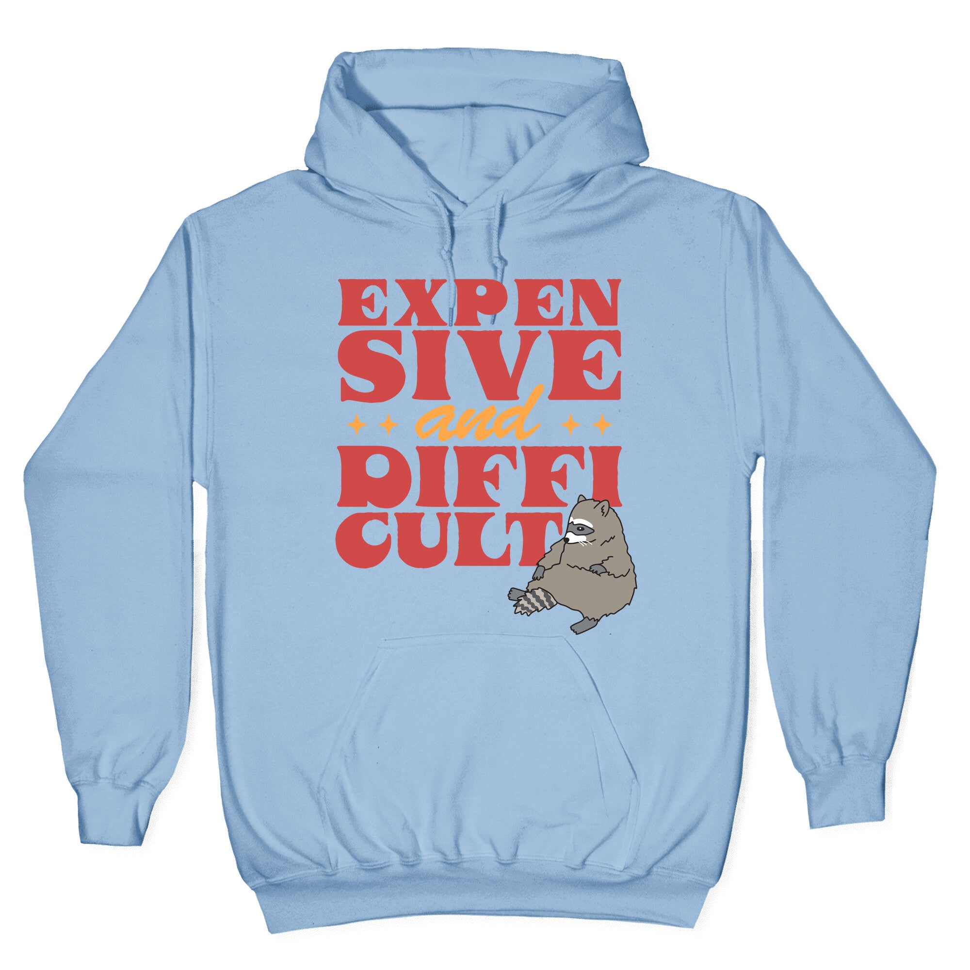 Raccoon Expensive and Difficult Hoodie