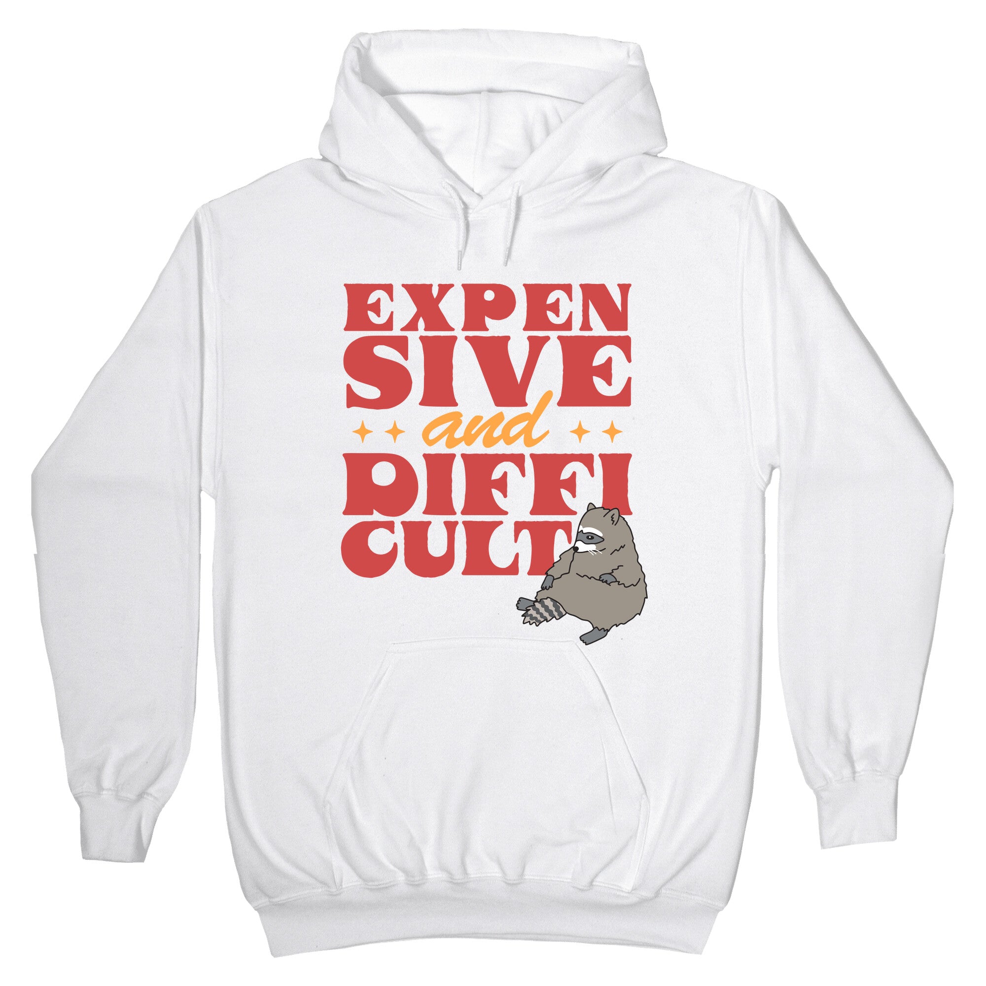 Raccoon Expensive and Difficult Hoodie
