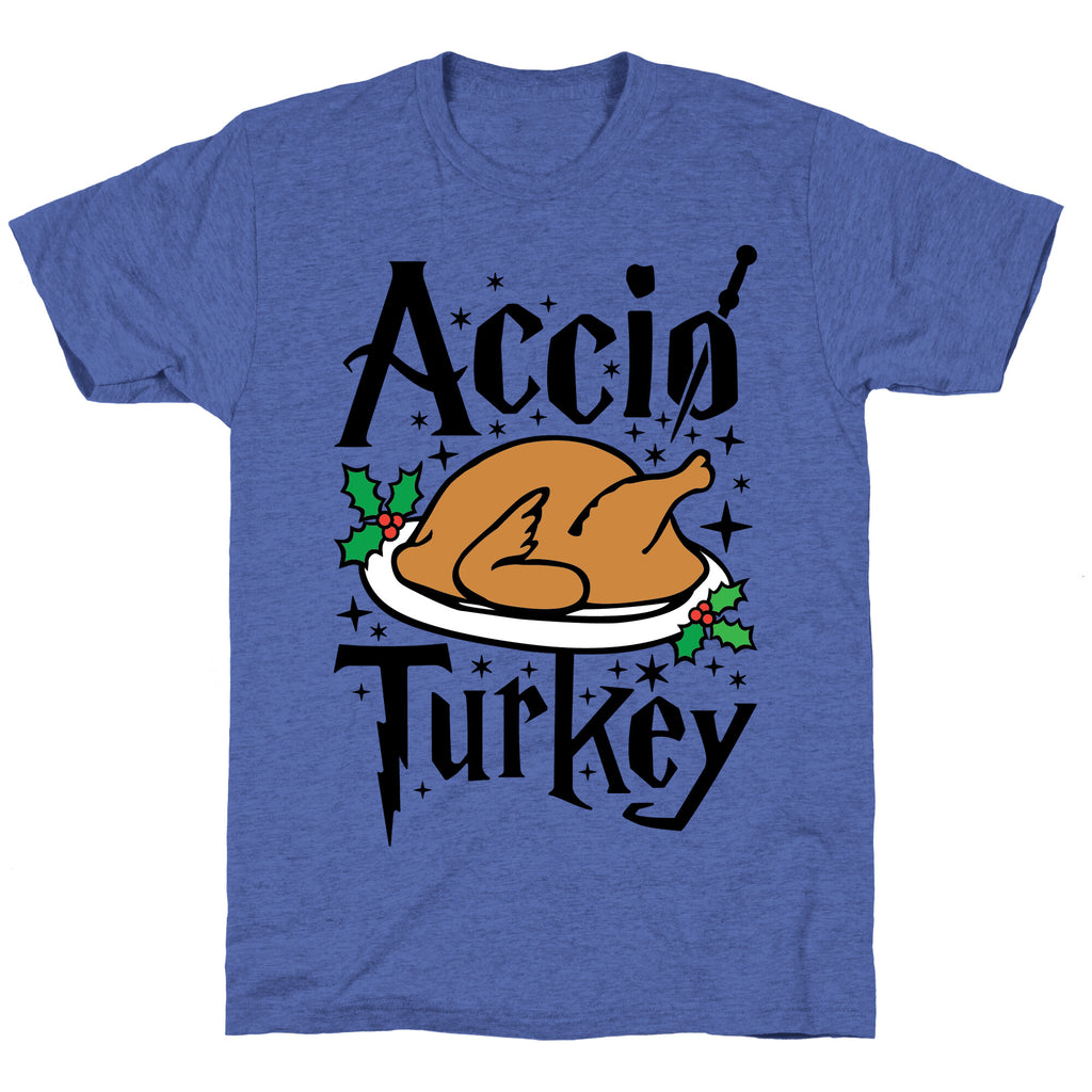 Accio Turkey Unisex Triblend Tee