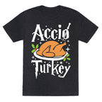 Accio Turkey Unisex Triblend Tee