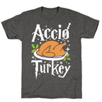 Accio Turkey Unisex Triblend Tee