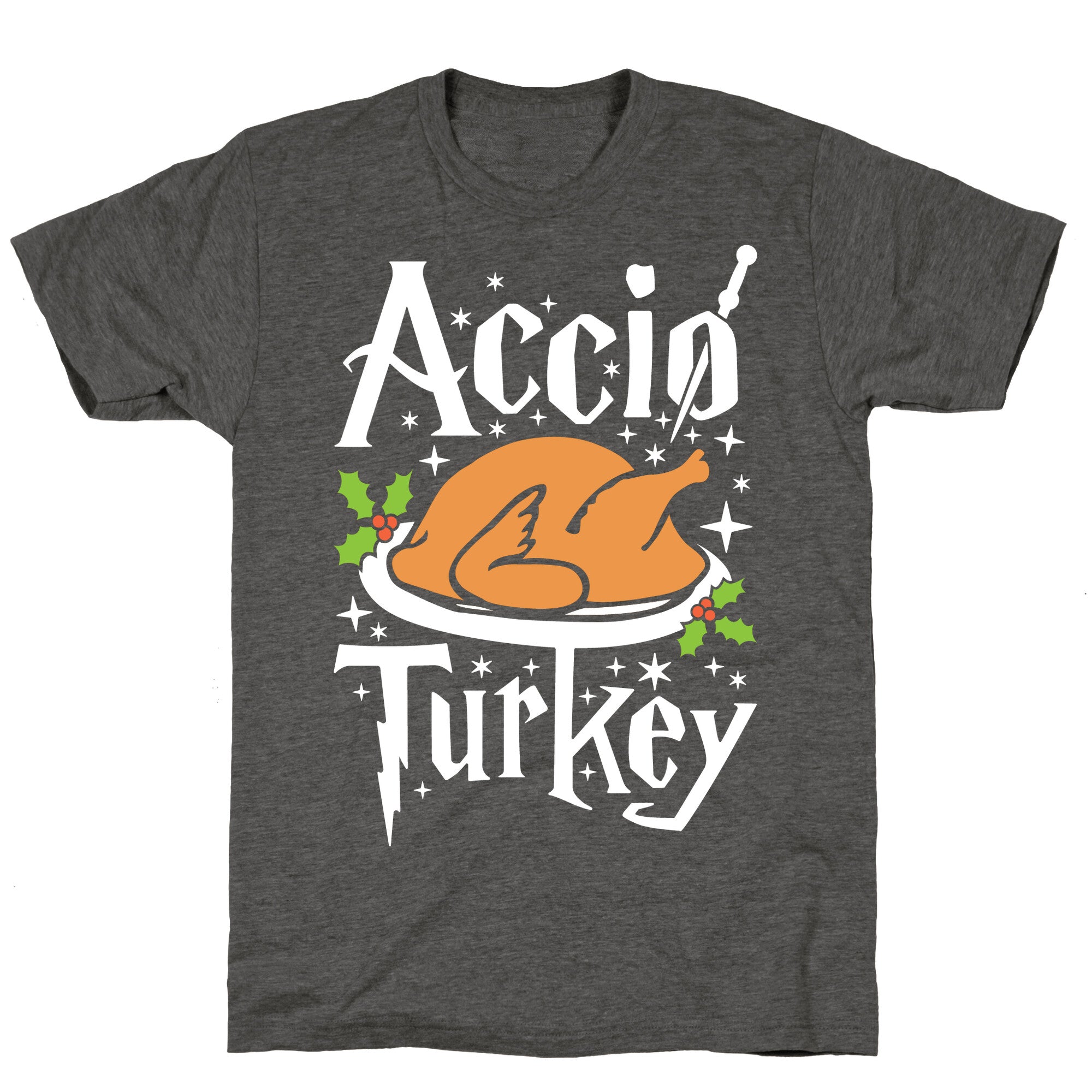 Accio Turkey Unisex Triblend Tee