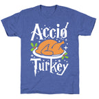 Accio Turkey Unisex Triblend Tee