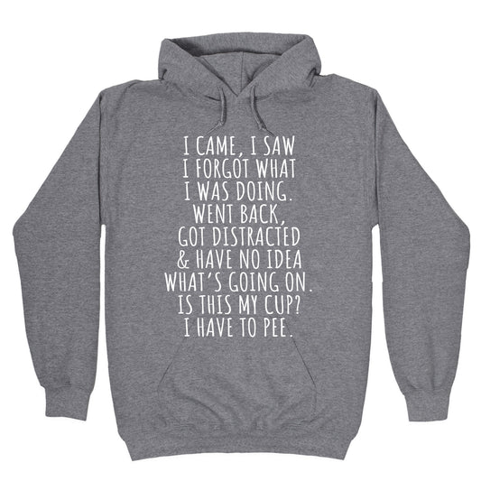 I Came I Saw I Forgot What I Was Doing Hoodie