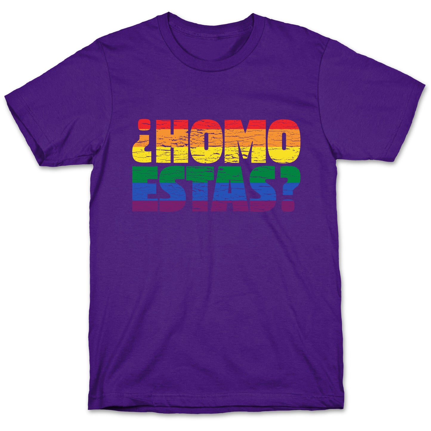 Homo Estas T-Shirt