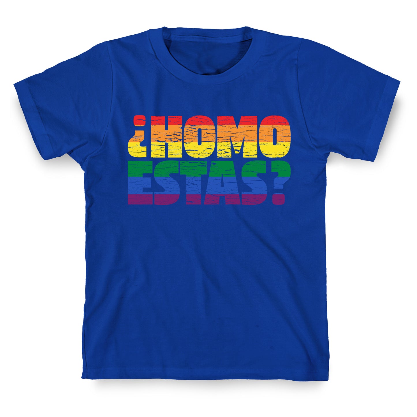 Homo Estas T-Shirt