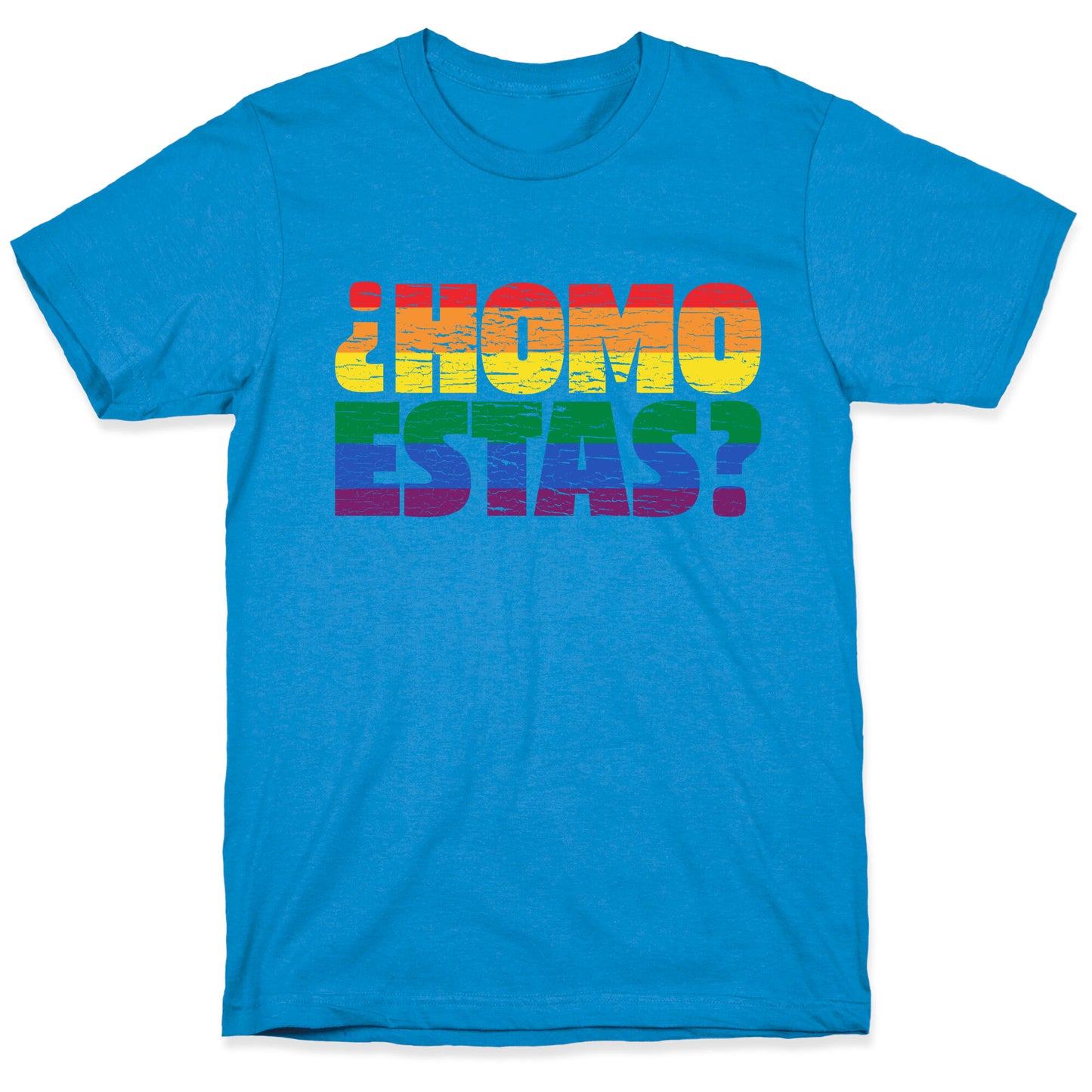 Homo Estas T-Shirt