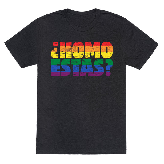 Homo Estas Unisex Triblend Tee