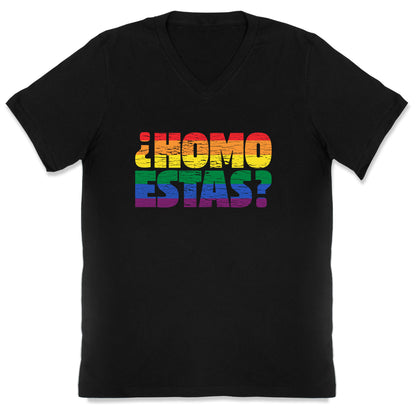 Homo Estas V-Neck