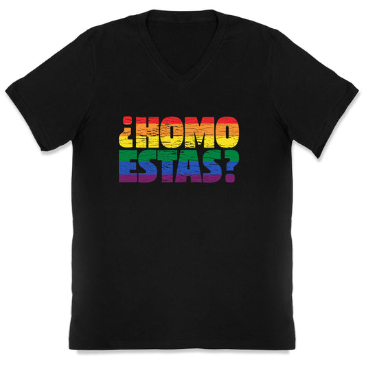Homo Estas V-Neck