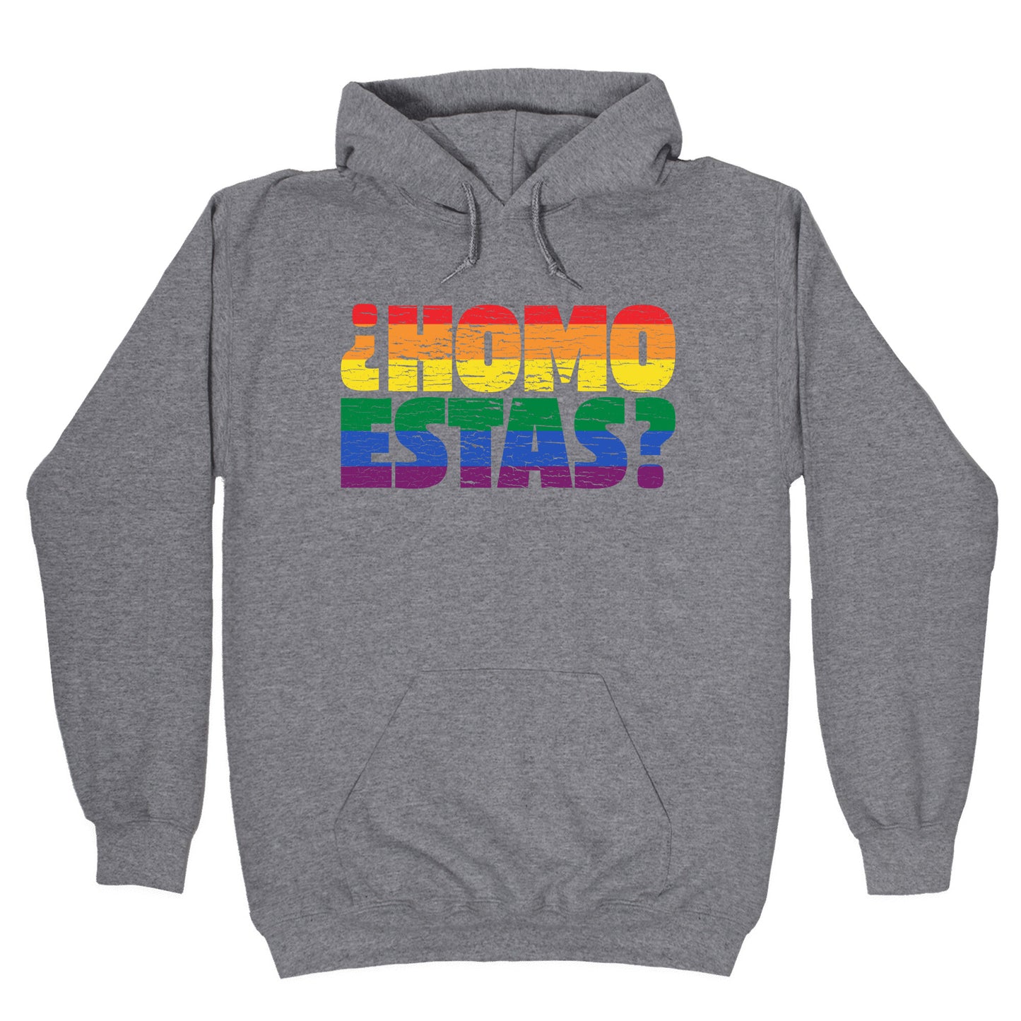 Homo Estas Hoodie