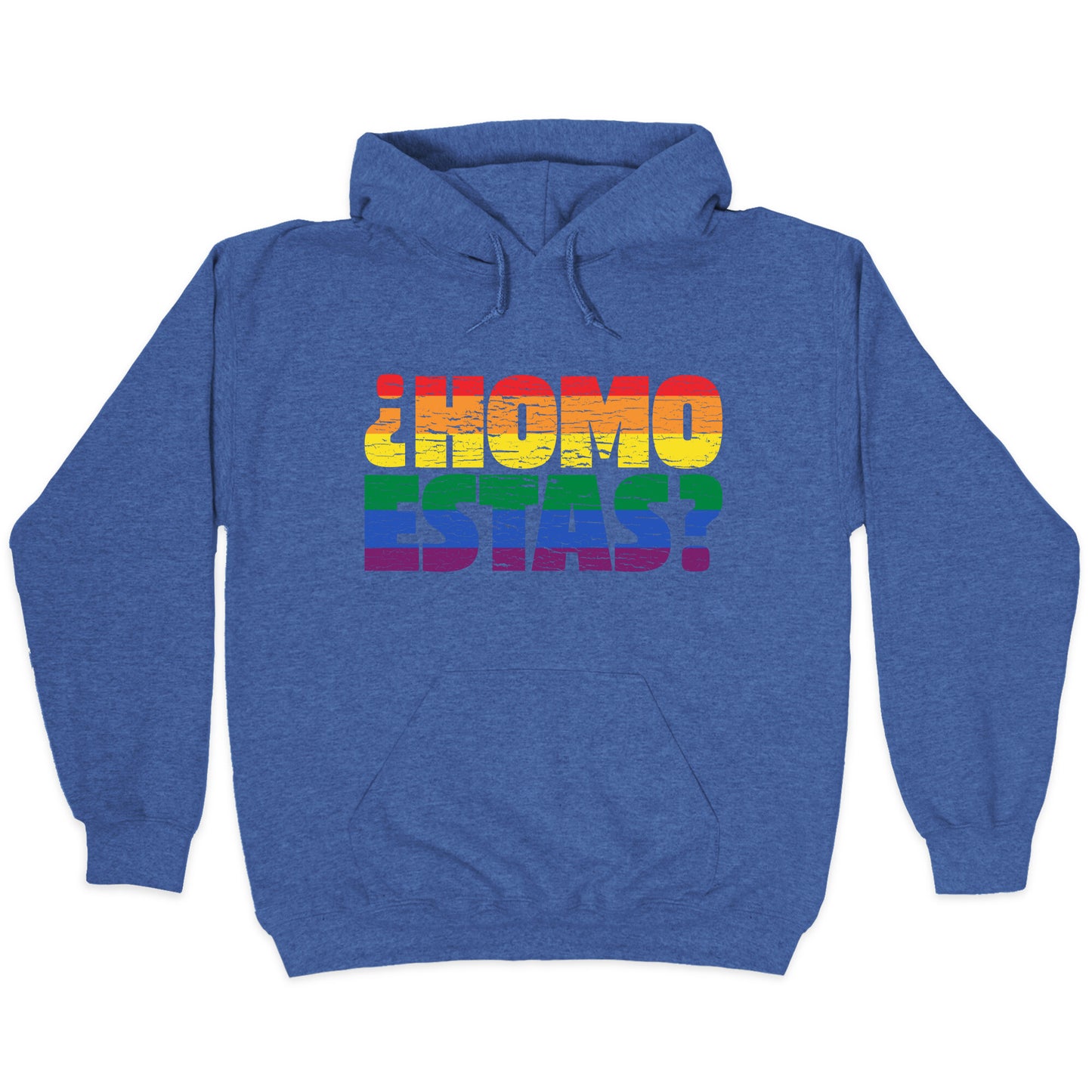 Homo Estas Hoodie